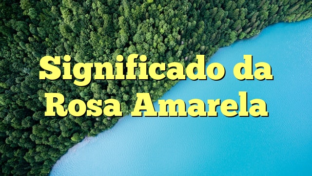 Significado da Rosa Amarela