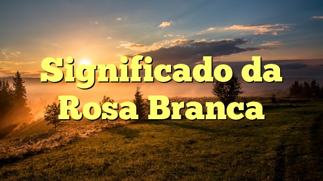 Significado da Rosa Branca