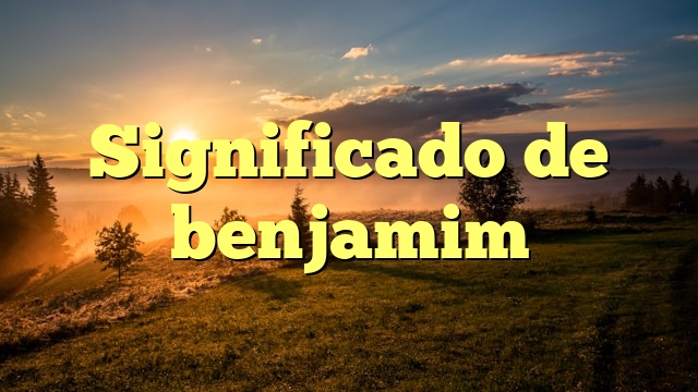 Significado de benjamim