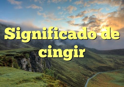 Significado de cingir