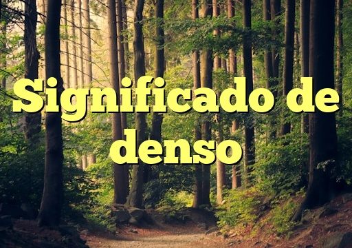 Significado de denso