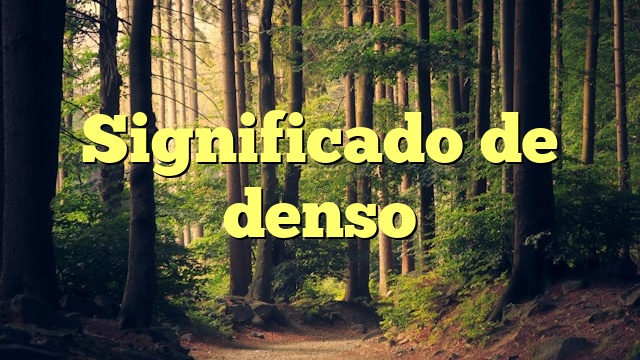 Significado de denso