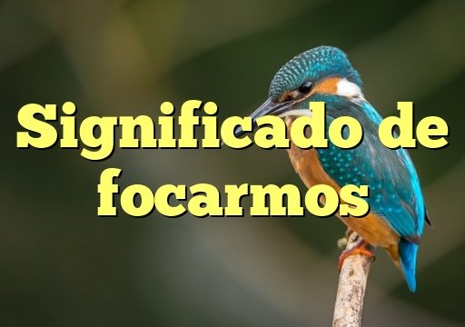 Significado de focarmos