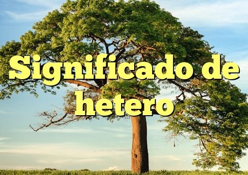 Significado de hetero