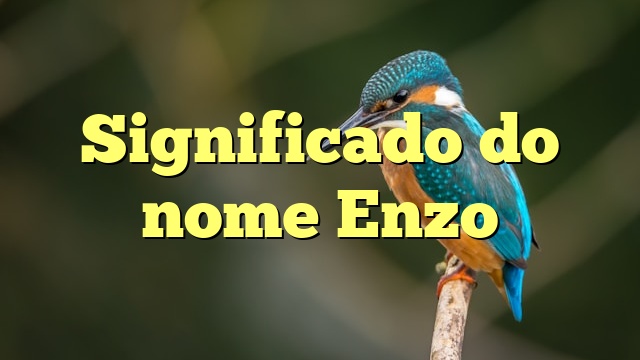 Significado do nome Enzo